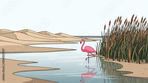 Pink Flamingo Standing in Shallow Water.