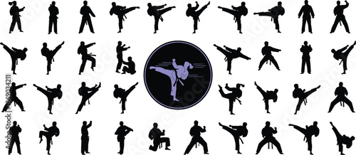 Martial arts fighter silhouettes performing kicks and combat stances, karate and taekwondo training poses, dynamic self defense illustration isolated on white background