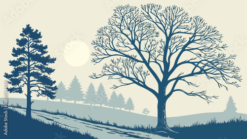 Winter Solstice Morning with Frosty Trees and Low Sunrise