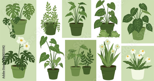 Variety of potted plants and flowers for home decor inspiration