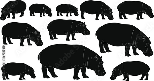 Set of hippopotamus silhouettes vector illustration showing standing and grazing poses isolated on white background.