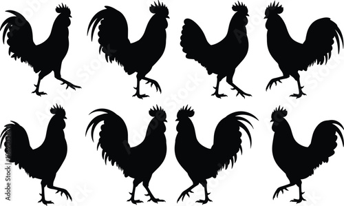 Set of rooster silhouettes vector black chicken farm animals figures standing and walking isolated on white background