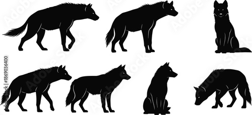 Set of wild hyena silhouettes including walking sitting and standing poses vector illustration isolated on white.