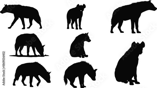 Set of wild hyena silhouettes vector black African predator animals standing walking and sitting isolated on white background