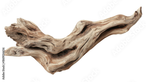 Weathered driftwood log featuring gnarled texture and organic shape, isolated with transparent background, nature element