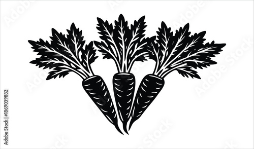 Three Carrots Vector Icon, Fresh Organic Vegetables, Healthy Food Concept