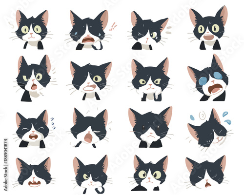 Zestaw uroczych, czarno-białych emotikonów z głową kota wyrażających różne emocje na białym tle.