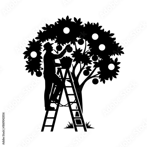 Silhouette of Farmers Harvesting Fruits from Blossoming Tree.