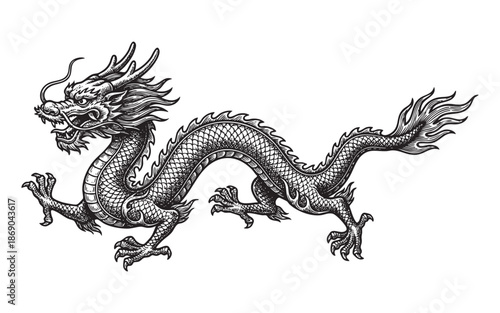 Chinese dragon with scales and claws in a vintage engraving style