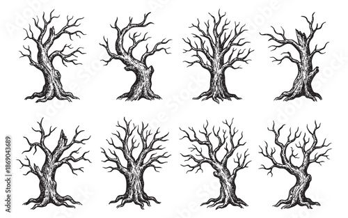 dead tree illustrations featuring leafless branches, gnarled trunks, and spooky silhouettes in vintage engraving style