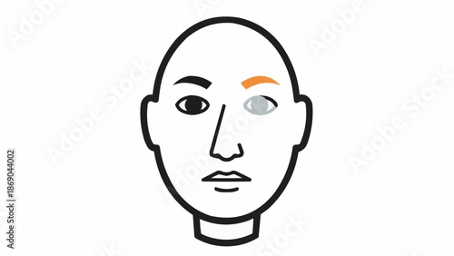 Illustration of a human face with one eye and eyebrow highlighted.