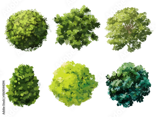 Zestaw sześciu ręcznie rysowanych koron drzew widzianych z góry na przezroczystym tle, idealny do projektowania krajobrazu.