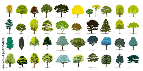 Collection diversifiée d'arbres isolés sur fond transparent, offrant une variété de formes et de feuillages pour des projets de design écologique.