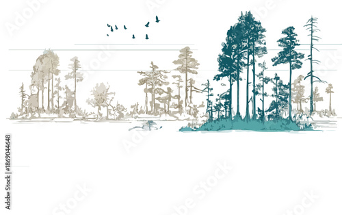 Illustration vectorielle stylisée d'une forêt avec des arbres variés et des oiseaux en vol, sur fond transparent, évoquant la sérénité naturelle.