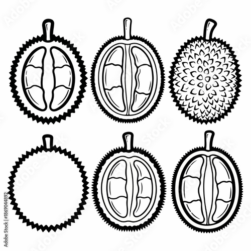 Black and white linear illustration set of durian fruit icons showing whole spiky fruit, cross-sections with pulp, and outline frame variants.