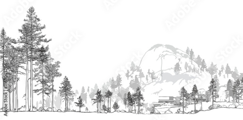 Detaillierte Vektorillustration einer natürlichen Waldlandschaft mit hohen Nadelbäumen und einem Berg im Hintergrund, ideal für transparente Hintergründe und Designprojekte.