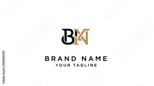 Luxury BXN Logo Design Template.