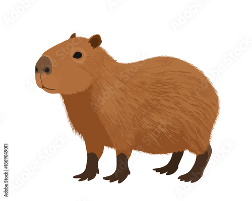 Adorable ilustración de un carpincho de pelaje marrón, un mamífero roedor, representado en un estilo amigable sobre fondo transparente.