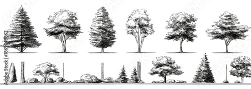 Colección de árboles y arbustos dibujados a mano, ideal para diseño arquitectónico y paisajismo, con estilo artístico y fondo transparente.