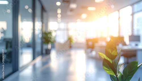 Wallpaper Mural A bright, sunlit office corridor with foliage in the foreground Torontodigital.ca
