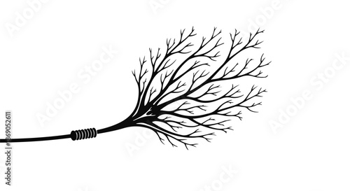 broom isolated on white background