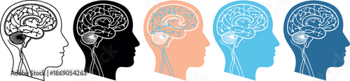 Human brain and head silhouette icon set vector illustration featuring neural connections and thinking concepts for psychology, neuroscience, education, and mental health design projects
