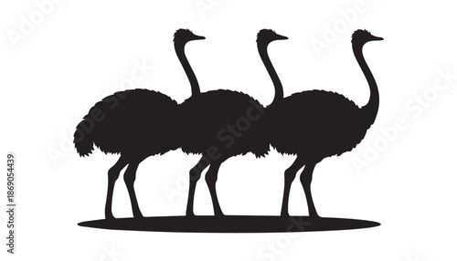 black color Ostrich set of silhouette vector illustration, solid white background