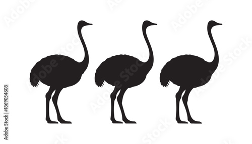 black color Ostrich set of silhouette vector illustration, solid white background
