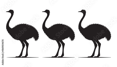 black color Ostrich set of silhouette vector illustration, solid white background