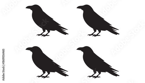 black color Crows set of silhouette vector illustration, solid white background