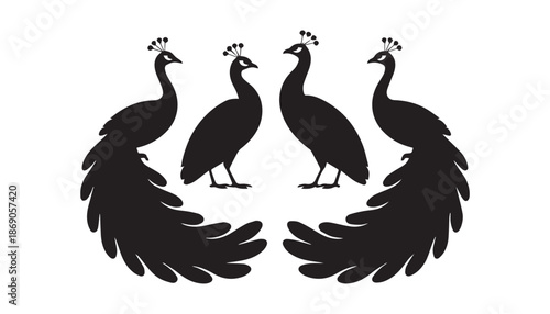 black color Indian peafowl set of silhouette vector illustration, solid white background