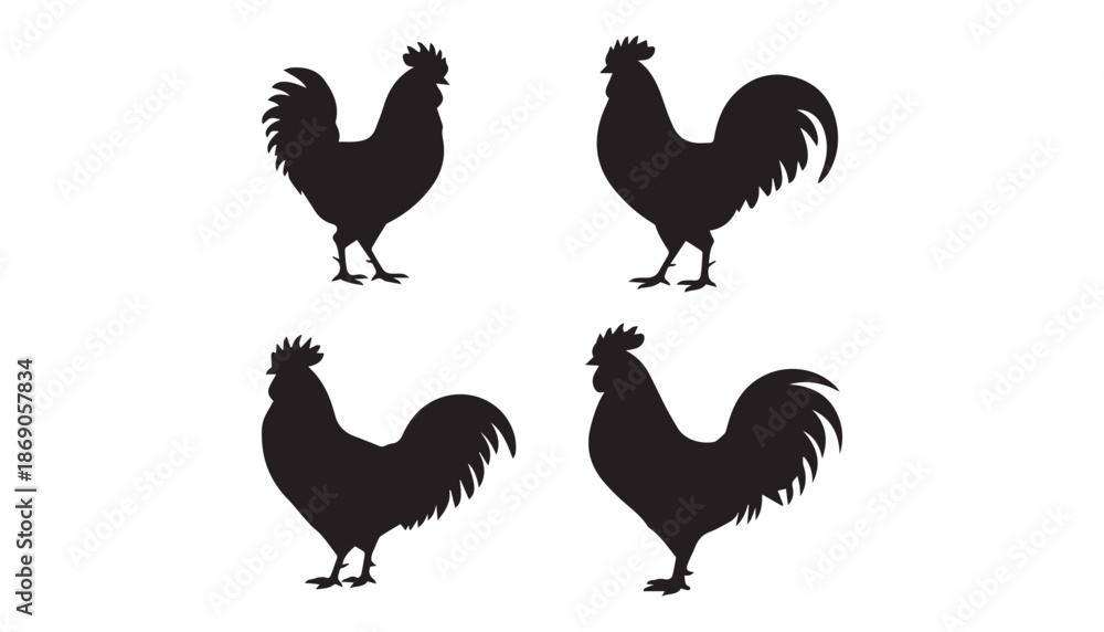 Fototapeta premium black color chicken set of silhouette vector illustration, solid white background