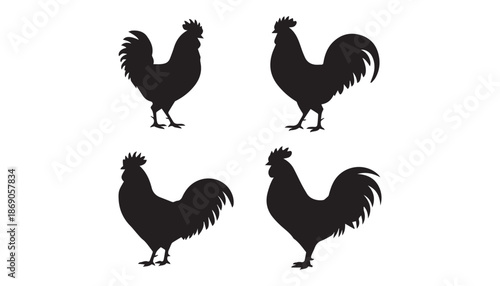 black color chicken set of silhouette vector illustration, solid white background