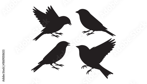 black color Swifts bird set of silhouette vector illustration, solid white background