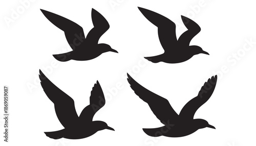 black color Albatrosses  set of silhouette vector illustration, solid white background
