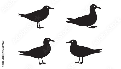 black color Albatrosses bird set of silhouette vector illustration, solid white background