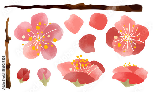 水彩で描いた梅の花のイラストパーツセット