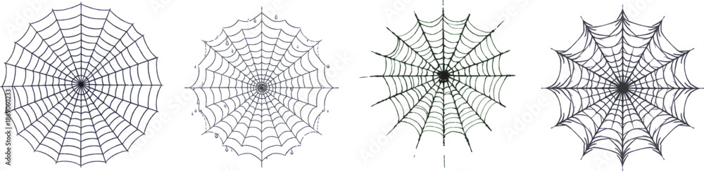 Obraz premium spider web set on a white background