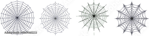 spider web set on a white background