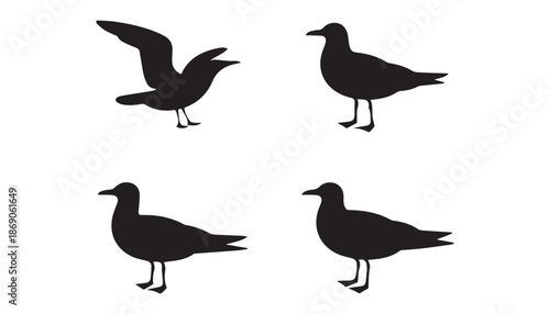 black color Albatrosses set of silhouette vector illustration, solid white background