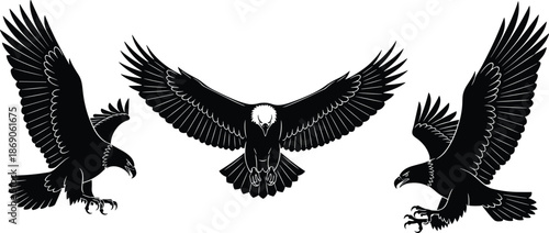 Black silhouette vector set of bald eagles in flight, soaring predator bird with spreading wings, majestic wildlife icons for design.