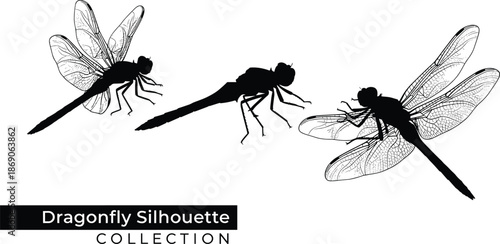 Dragonfly silhouette collection featuring detailed wing patterns and elegant flying insect forms in black vector illustration for nature design projects