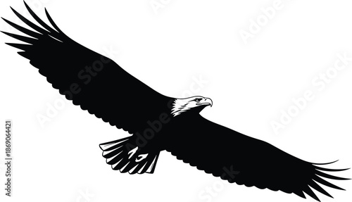 Majestic flying eagle silhouette with wide spread wings, powerful bird of prey illustration in black vector style design wildlife logo artwork