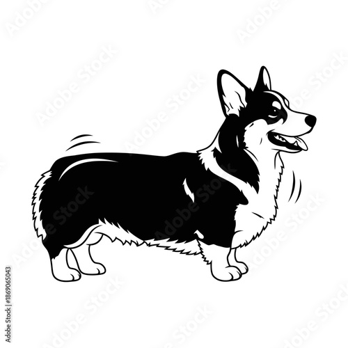 Adobe Illustrator Artwork