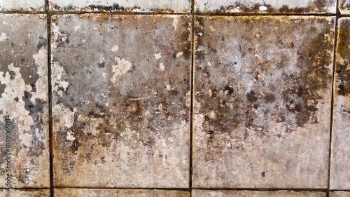 Close up of old dirty wall tiles texture with moss and stains