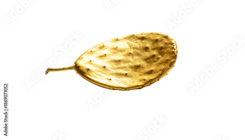 A stylized golden fruit with bumps and a stem isolated against a stark black background