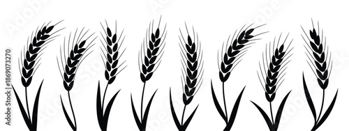 Wheat ears silhouette black vector artwork displaying multiple wheat and rye ear variations with stalks for farm themes.