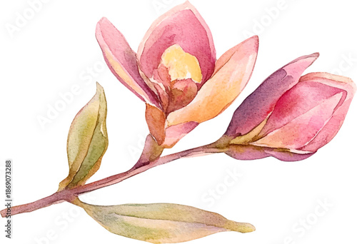 Delicate Watercolor Pink Blossoms on a Branch