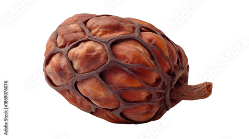 Organic textured pod with exotic seeds, natural dry fruit structure, brown nature food component, transparent background