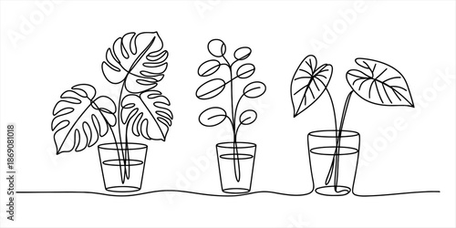 Minimalist continuous line drawing showcasing three different types of houseplants in water-filled glasses Vector, illustration